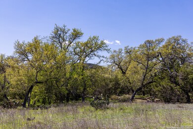 0 unit 1890104, Medina, TX 78055 - photo 2