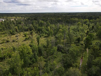 0 VL Binder Rd, Sherman Township, MI 48748 - photo 4