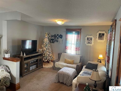 919 N Washington St, New Ulm, MN 56073 - photo 6