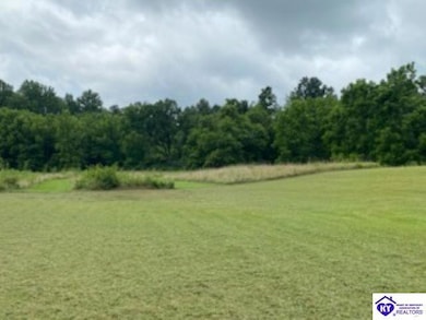 321 Fields Ln, Clarkson, KY 42726 - photo 4