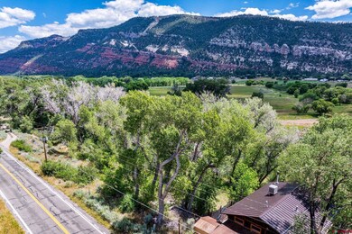 1110 Animas View Dr, Durango, CO 81301 - photo 5