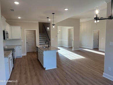 687 Lucas Ln, Hernando, MS 38632 - photo 6