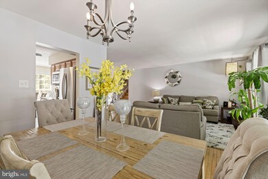 4930 Ten Mills Rd, Columbia, MD 21044 - photo 7