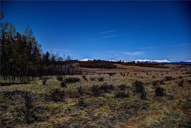 1878 Kiowa St, Como, CO 80432 - photo 3