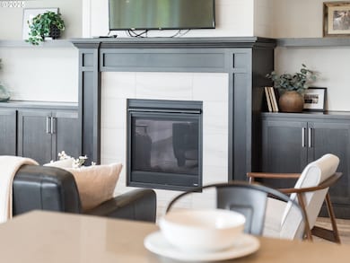Fireplace Gas
