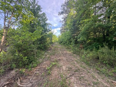 00 Sylvester Hudson Rd, Louisville, MS 39339 - photo 5