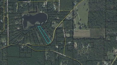 78 Friendship Church Rd, Crawfordville, FL 32327 - photo 3