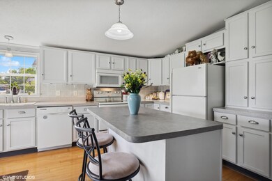 202 3rd St, Galien, MI 49113 - photo 5