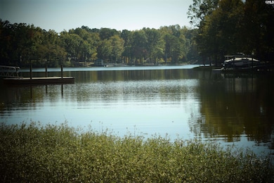 934 Salisbury Ct, Chapin, SC 29036 - photo 5