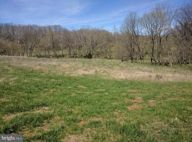 6321 Stonewall Jackson Hwy, Front Royal, VA 22630 - photo 3