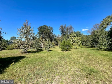 7727 Wills Ln, Fort Washington, MD 20744 - photo 4