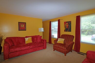 IMG_3524_edited-1
