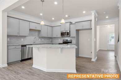 6033 Jasmine Branch Rd, Charlotte, NC 28216 - photo 2