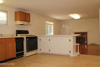 496 Holly Grove School Rd, West End, NC 27376 - photo 7