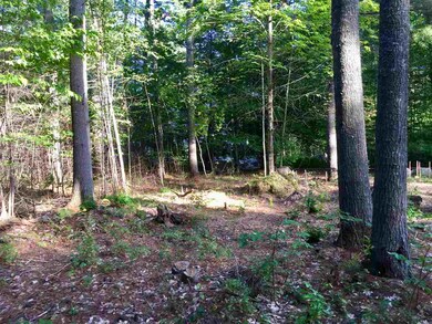 0 Poliquin Dr unit 46, Conway, NH 03818 - photo 7