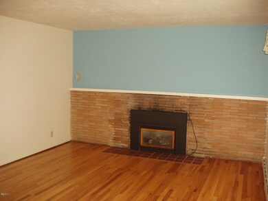 Gas Fireplace Insert