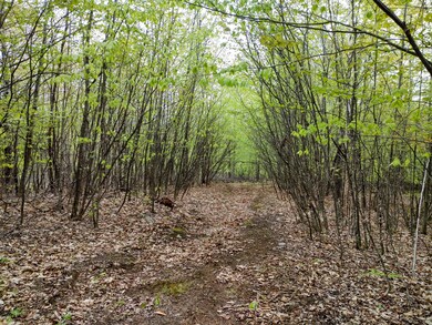 20210511_142538_HDR~2