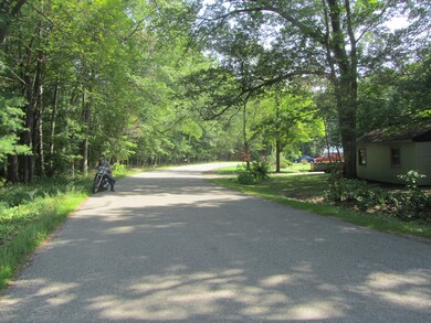 158 W Lincoln St, Brohman, MI 49312 - photo 5