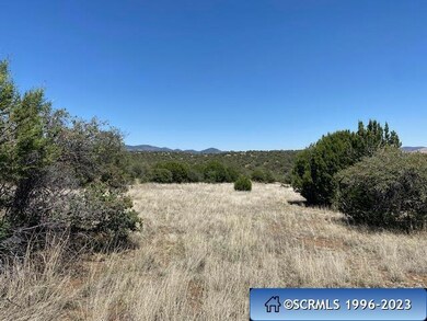 Tract B Hideaway Trail, Silver City, NM 88061 - photo 6