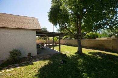 V_Backyard3