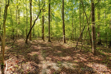 5212 Star Magnolia Ct, Clover, SC 29710 - photo 7