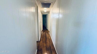 IMG_2869