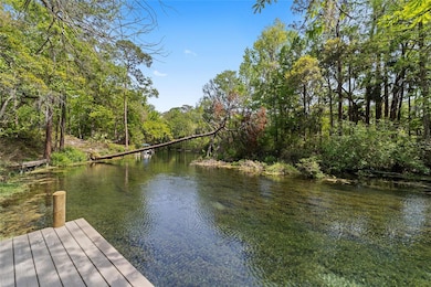 10894 SW 185th Terrace, Dunnellon, FL 34432 - photo 3