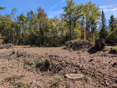 MR11 Lot40 Yeaton Swamp Rd, Oxford, ME 04270 - photo 3