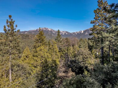 DJI_0834
