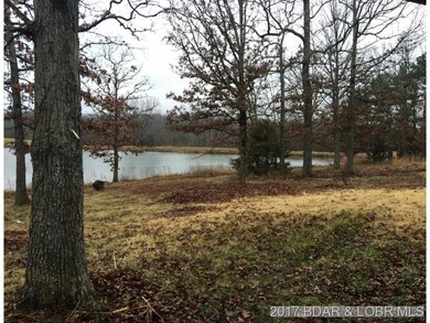 10501 Cedar Ln, Dixon, MO 65459 - photo 3