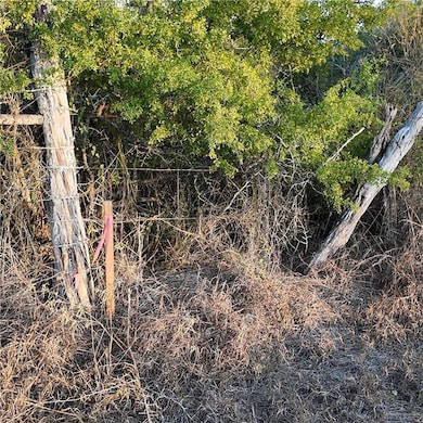 00 Cr 313, Encino, TX 78353 - photo 4
