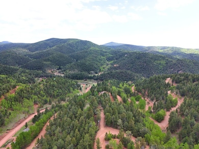 68 Horseshoe Dr, Divide, CO 80814 - photo 4