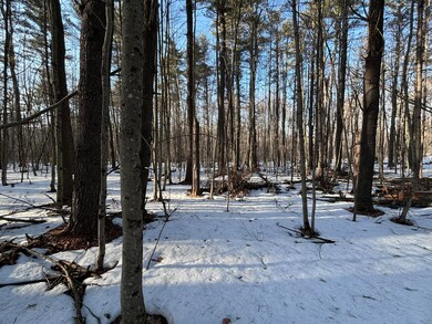 0 Webbs Mills Rd, Raymond, ME 04071 - photo 2