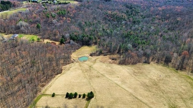 45 Kronus Rd, Erin, NY 14838 - photo 4