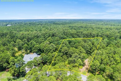 mls-DJI_0021
