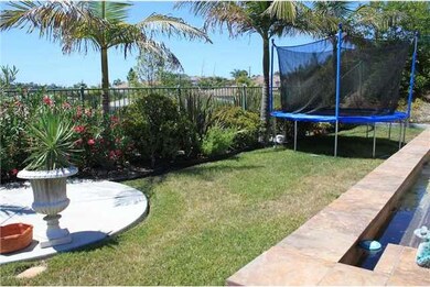 Grass area of backyard