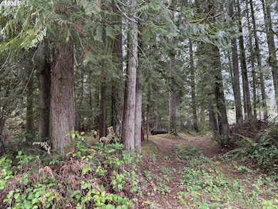 208 Riverview Dr, Castlerock, WA 98611 - photo 5