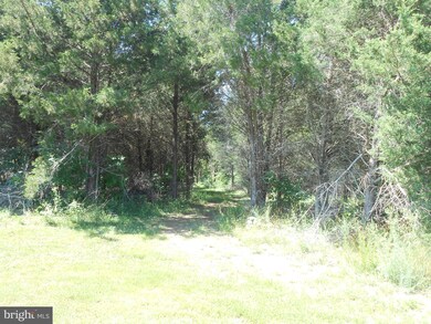 0 Martin Rd unit 1000196439, Front Royal, VA 22630 - photo 5