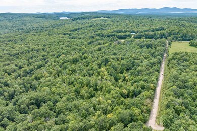 0 Phineas Graves Rd unit 5040078, Center Tuftonboro, NH 03816 - photo 4
