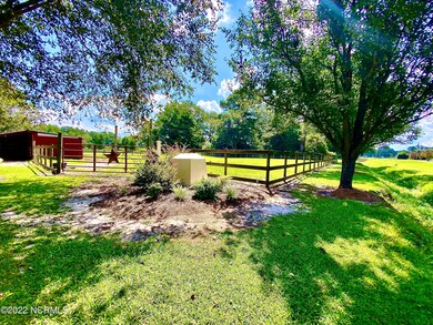 9750 Penderlea Hwy, Willard, NC 28478 - photo 4