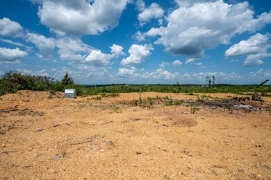 241 Springer Rd, Hohenwald, TN 38462 - photo 7