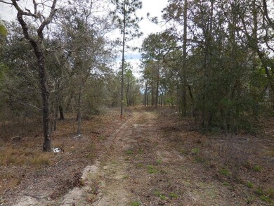 Driveway to Homesite
