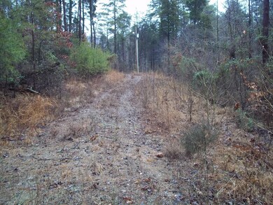 192 Buck Tail Dr, Burnside, KY 42519 - photo 4