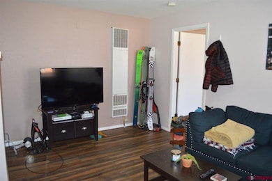 343 E 8th Ave unit 4, Durango, CO 81301 - photo 6