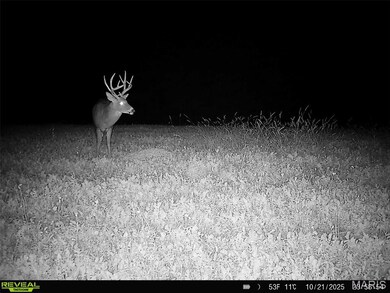 91.11 Acres Lollar Branch Rd, Sullivan, MO 63080 - photo 4