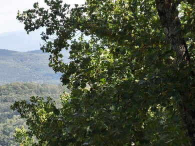 280 Andes Ridge, Ellijay, GA 30536 - photo 6