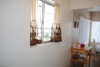 Kitchen Window