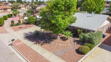 Mermaid 2320 10.10.23 RT (3)