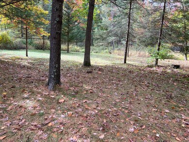 13125 Kt Dr, Bitely, MI 49309 - photo 6