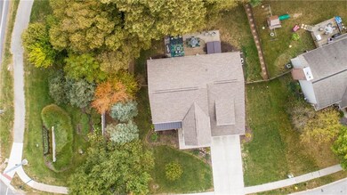 Look at ALL OF THESE TREES!